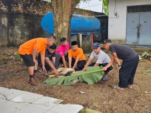 KIR Palembang Melaksanakan Pemotongan Hewan Qurban Dihari Pertama Idul Adha 1446 H