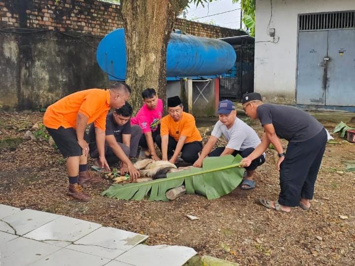 KIR Palembang Melaksanakan Pemotongan Hewan Qurban Dihari Pertama Idul Adha 1446 H