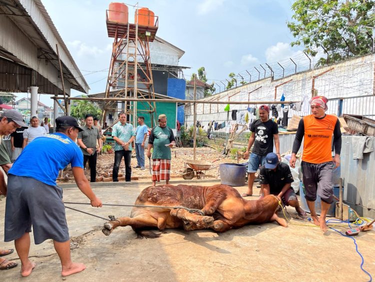 Sembelih Qurban 2 Ekor Sapi dan 11 Ekor Kambing, Rutan Kelas II B Sukadana Dikomplin Warga 