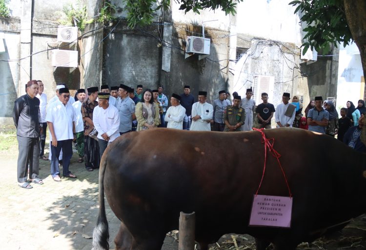 Takalar Terpilih Sebagai Penerima Bantuan Sapi Kurban Presiden: Momen Bersejarah untuk Masyarakat Takalar