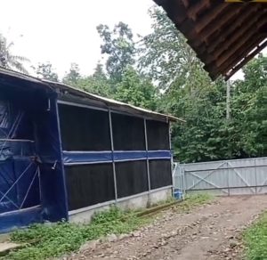 Diduga Cemari Lingkungan, Warga Keluhkan Aroma Bau tak Sedap dari Peternakan Ayam di Warunggunung