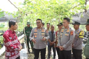 Brigjen Rudy Syafirudin Apresiasi Desa Percontohan P2B Banyuasin: “Tiap Rumah Harus Punya 7-8 Jenis Tanaman!”