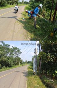 SKPD PUPR Banten Gencar Lakukan Pemeliharan Jalan Potong Rumput dan Ilalang Sepanjang Ruas Rangkasbitung-Cigelung
