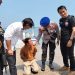 Kurang dari 1×24 Jam Dir Pol Airud Polda Lampung Amankan Terduga Pelaku Pencurian Spead Boat, Kades Pulau Pahawang Beri Apresiasi