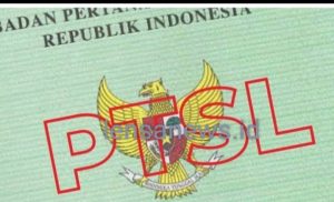 Desa Parakan Diduga Pungut Biaya 500 Ribu Perbidang dalam Program PTSL