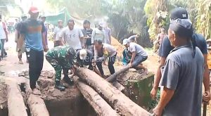 Manunggal dengan Rakyat, Babinsa Koramil 10/LBM Gotong Royong Bangun Jembatan penghubung