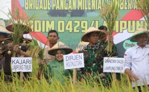 Hadiri Panen Raya Padi Bersama Forkopimda, Dandim : Bersama Kita Bisa Wujudkan Swasembada Pangan