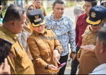 Masyarakat Apresiasi Perbaikan Dua Ruas Jalan di Tegineneng