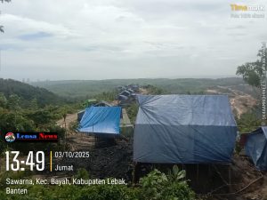 Dugaan Pembalakan Liar Dan PETI, di Wilayah Perhutani RPH Bayah Selatan BKPH Bayah, KPH Banten Diminta Bertindak Tegas