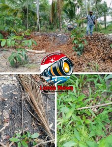 Para Penambang Batu-bara Diduga Tak Mengindahkan Reklamasi Pohon yang Dilakukan Perum Perhutani, Disayangkan PPWI Baksel