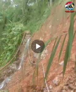 Akibat Hujan Deras Sehari Lalu, Saluran Irigasi untuk Mengairi Sawah Cimandiri Tertutup Longsor