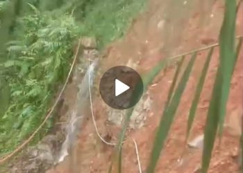 Akibat Hujan Deras Sehari Lalu, Saluran Irigasi untuk Mengairi Sawah Cimandiri Tertutup Longsor