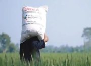 Meski HET Pupuk Subsidi Sudah Turun, Kios di Cihara Masih Jual Harga Diatas HET