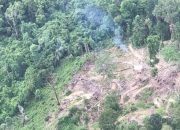 Persoalan Klasik Hingga Struktural di Hutan Lampung, Wahrul Fauzi Menyebut Pemicu Polemik Hutan yang Menghawatirkan 