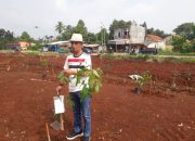 Kecamatan Tajurhalang Hijaukan Jalan Bomang, Dukung Program Bupati Bogor