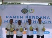 Produktif dan Inspiratif, Lapas Kelas I Palembang Sukses Panen Melon dan Tebar Bibit Lele