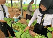 Rutan Kelas I Palembang Terus Mengoptimalkan Kegiatan Pembinaan Kemandirian