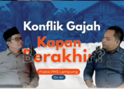 Konflik Gajah di Lamtim, Fraksi PKS DPRD Lampung Mwnilai  Lemah Kebijakan Perlindungan Habitat dan Mitigasi Konflik Satwa Liar yang Berkelanjutan