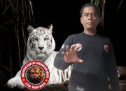 Sistem Keamanan RSUD Malingping Disorot, LSM Harimau Sayangkan Sikap Humas