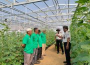 Program Pembinaan Berkelanjutan, Rutan Kelas I Palembang Lanjutkan Penanaman Melon Tahap Kedua