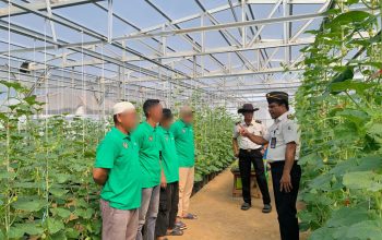 Program Pembinaan Berkelanjutan, Rutan Kelas I Palembang Lanjutkan Penanaman Melon Tahap Kedua