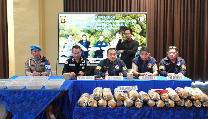 Polda Sumsel Bongkar Sindikat Ladang Ganja 20 Hektar di Empat Lawang, 220 Kg Ganja Disita