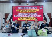 Polda Sumsel Sita 220 Kg Ganja dari Ladang 20 Hektar, Empat Pelaku Masuk DPO