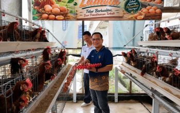 Lapas Kelas I Palembang Optimalkan Pembinaan Produktif Melalui Panen Telur 