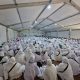 441 Jemaah Asal Tanggamus, Pesawaran, dan Pesisir Barat Bersatu dalam Refleksi Spiritual di Maktab 82
