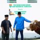 Kodam XXI/RI Bagikan Kurban ke Berbagai Wilayah di Lampung-Bengkulu