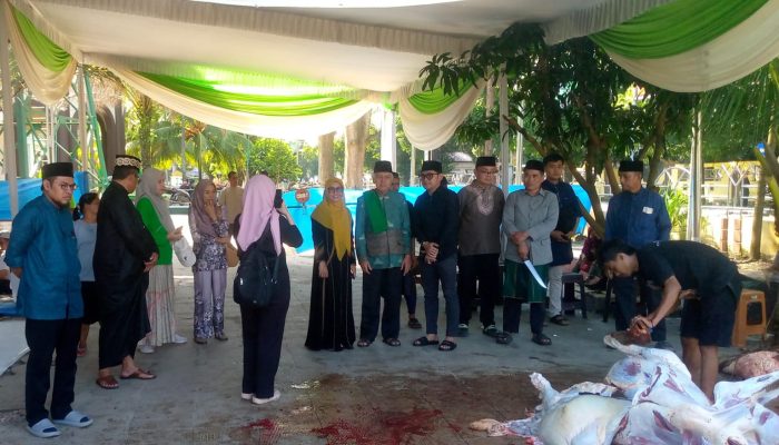 Plt Kepala DKP3, Pipi Puspita Sari :  95 Persen Hewan Kurban di Kota Metro Sangat Baik
