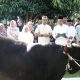 Dandim 0429/Lampung Timur Serahkan Hewan Kurban Usai Sholat Idul Adha 