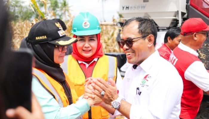 Panen 64 Ribu Ton! Pesawaran Tuan Rumah Panen Raya Jagung GNTI, Bukti Ketahanan Pangan Menguat