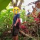 Penemuan Jasad Kernet Truk Pasir Gegerkan Area Galian PT PAM di Rangkasbitung